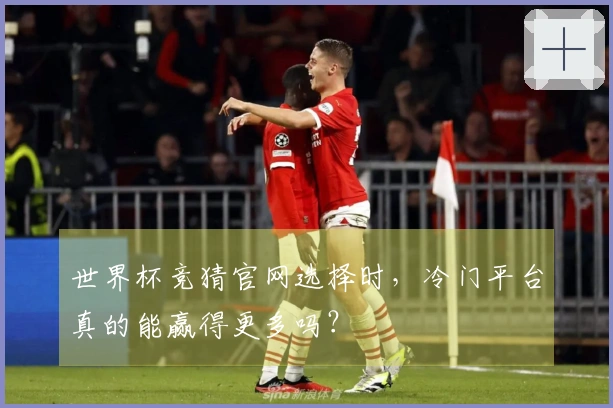 世界杯竞猜官网选择时，冷门平台真的能赢得更多吗？