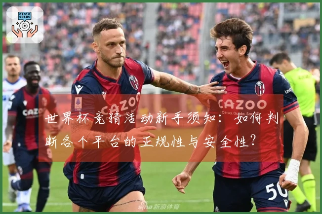 世界杯竞猜活动新手须知：如何判断各个平台的正规性与安全性？