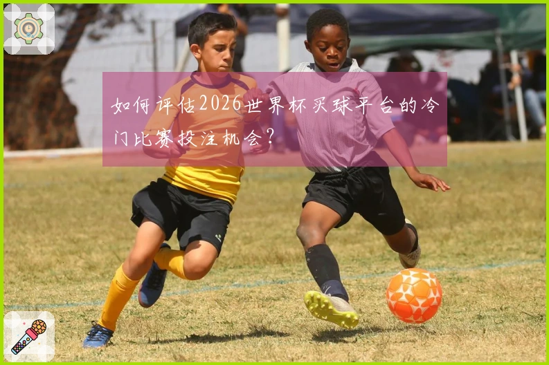 如何评估2026世界杯买球平台的冷门比赛投注机会？
