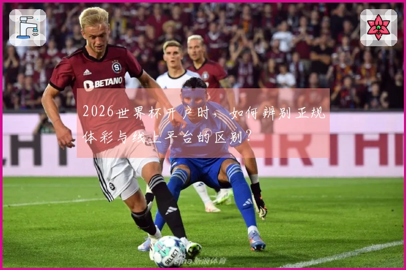 2026世界杯开户时，如何辨别正规体彩与线上平台的区别？