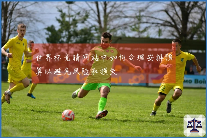 世界杯竞猜网站中如何合理安排预算以避免风险和损失