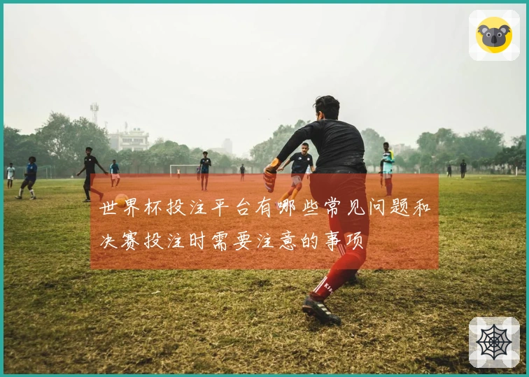 世界杯投注平台有哪些常见问题和决赛投注时需要注意的事项