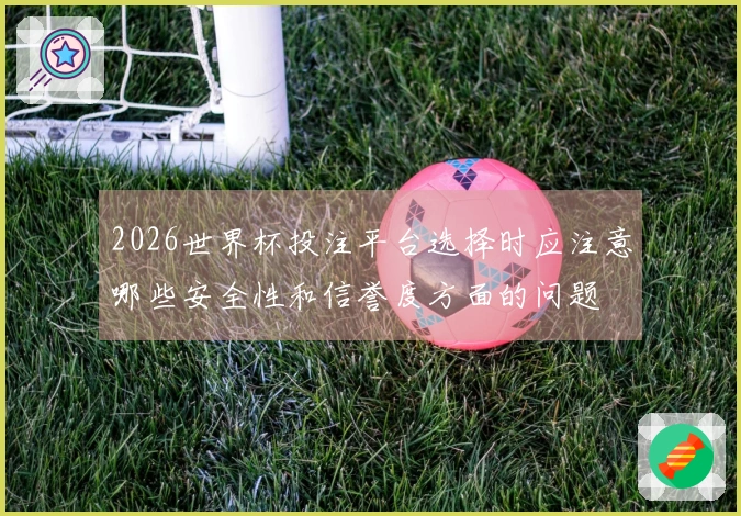 2026世界杯投注平台选择时应注意哪些安全性和信誉度方面的问题
