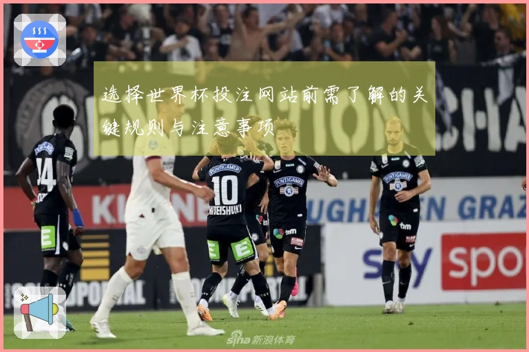 选择世界杯投注网站前需了解的关键规则与注意事项