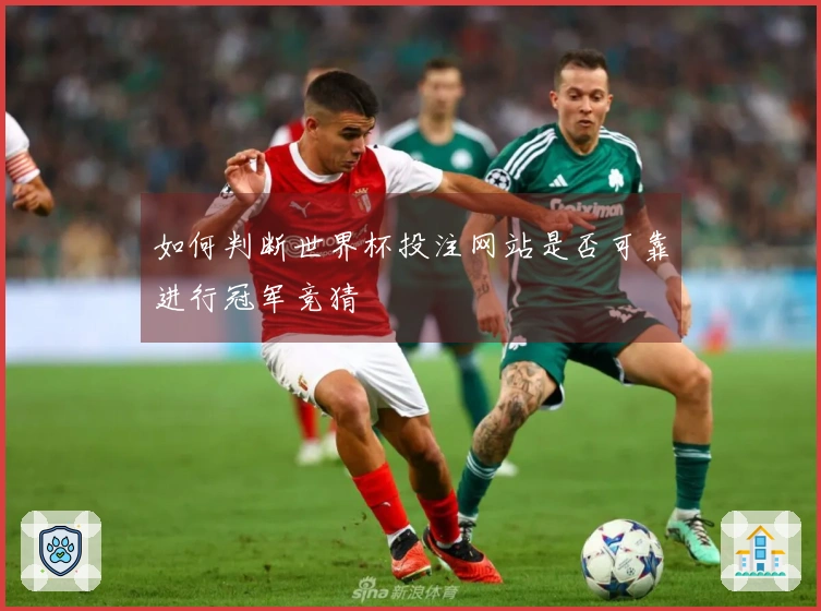如何判断世界杯投注网站是否可靠进行冠军竞猜