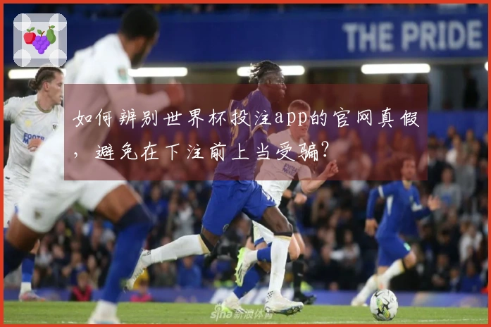 如何辨别世界杯投注app的官网真假，避免在下注前上当受骗？