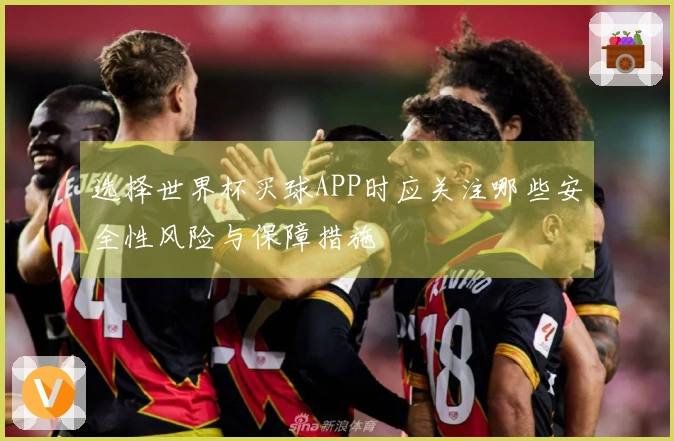 选择世界杯买球APP时应关注哪些安全性风险与保障措施
