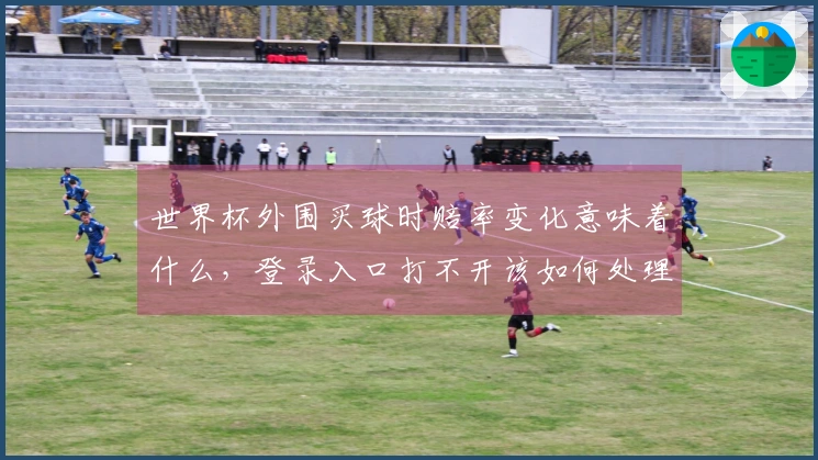 世界杯外围买球时赔率变化意味着什么，登录入口打不开该如何处理？