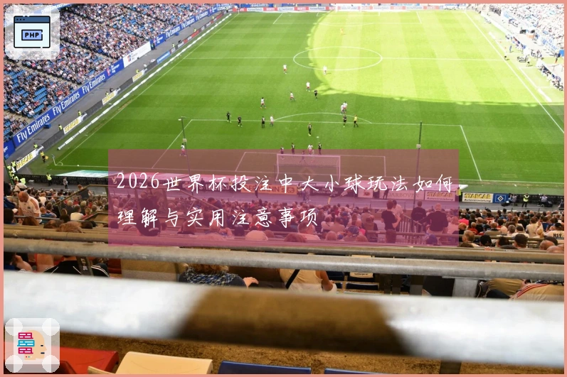 2026世界杯投注中大小球玩法如何理解与实用注意事项