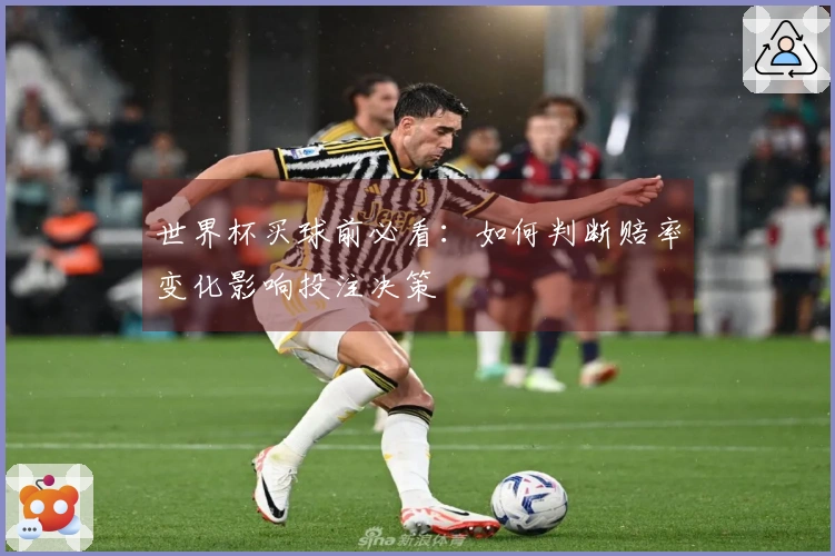 世界杯买球前必看：如何判断赔率变化影响投注决策