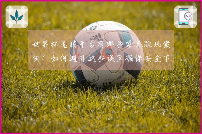 世界杯竞猜平台有哪些常见踩坑案例？如何避开这些误区确保安全下注？