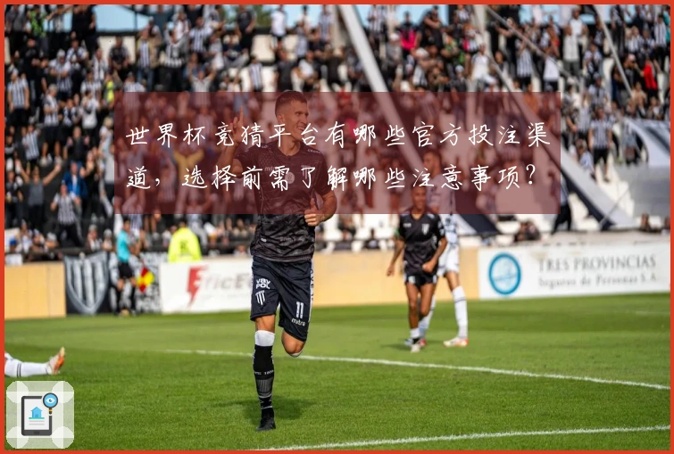 世界杯竞猜平台有哪些官方投注渠道，选择前需了解哪些注意事项？