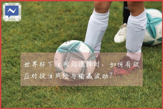 世界杯下注网站选择时，如何有效应对投注风险与输赢波动？