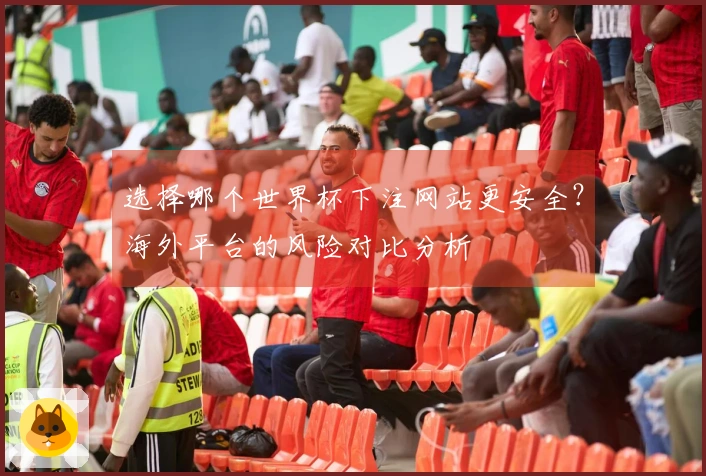 选择哪个世界杯下注网站更安全？海外平台的风险对比分析