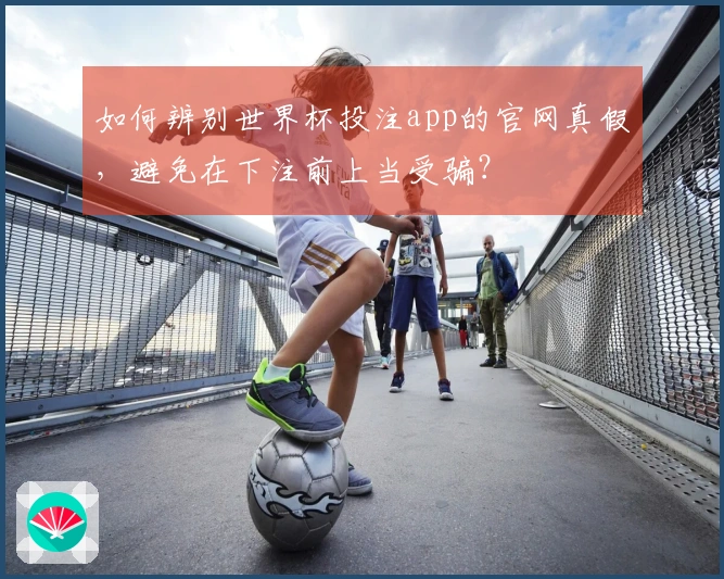 如何辨别世界杯投注app的官网真假，避免在下注前上当受骗？