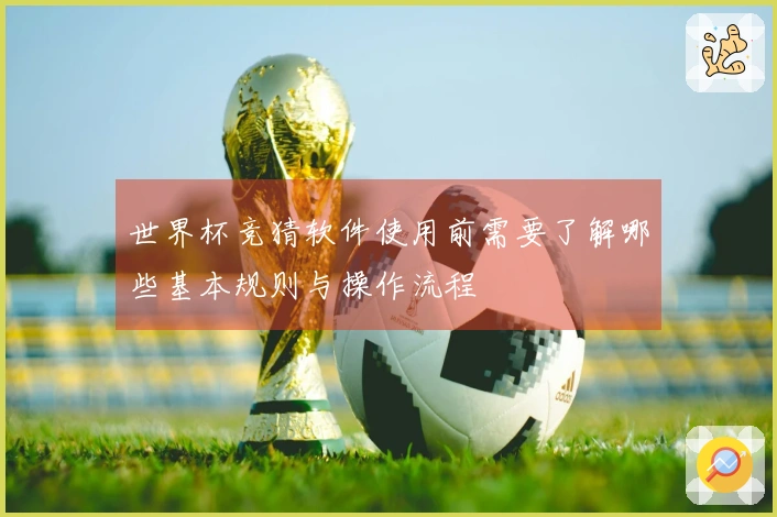 世界杯竞猜软件使用前需要了解哪些基本规则与操作流程