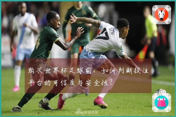 购买世界杯足球前，如何判断投注平台的可信度与安全性？
