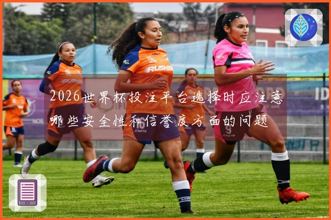 2026世界杯投注平台选择时应注意哪些安全性和信誉度方面的问题