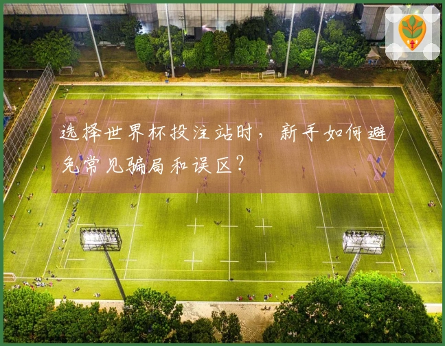 选择世界杯投注站时，新手如何避免常见骗局和误区？