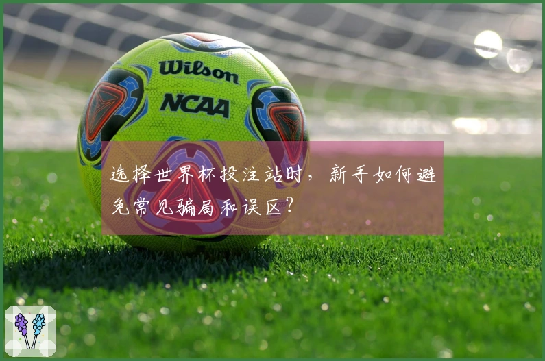 选择世界杯投注站时，新手如何避免常见骗局和误区？
