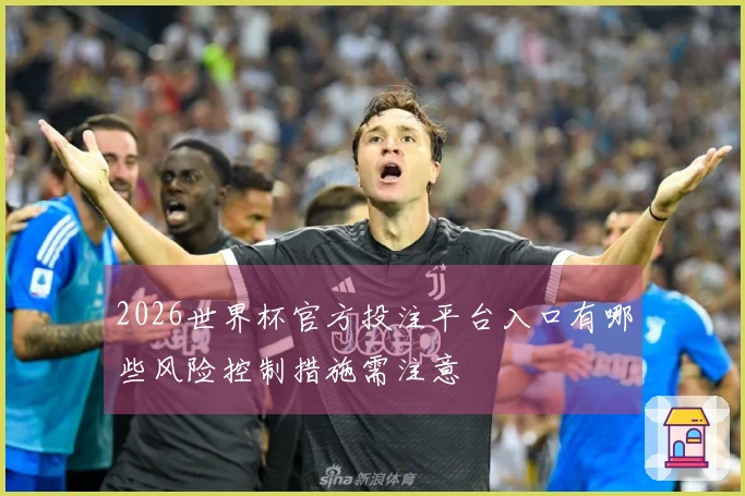 2026世界杯官方投注平台入口有哪些风险控制措施需注意