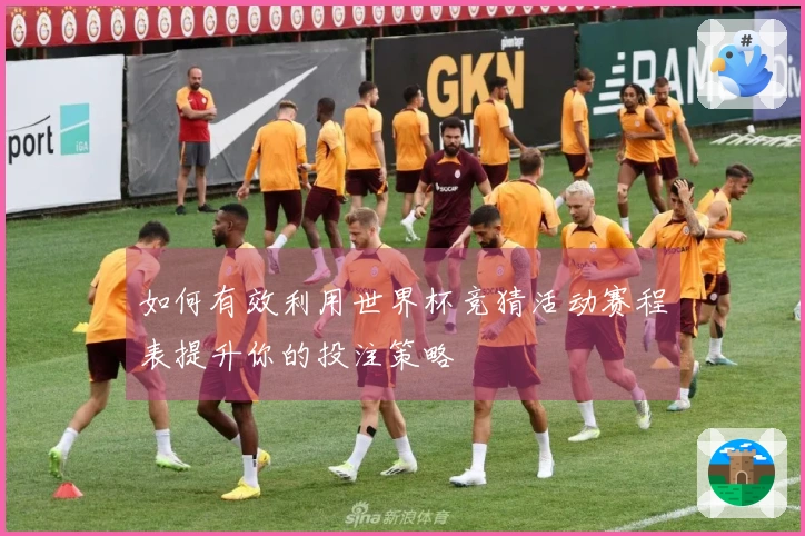 如何有效利用世界杯竞猜活动赛程表提升你的投注策略