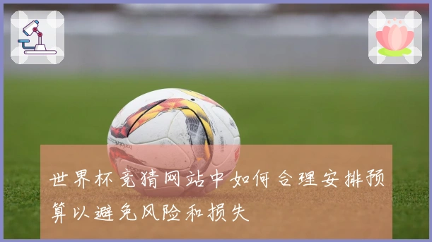 世界杯竞猜网站中如何合理安排预算以避免风险和损失