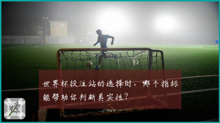 世界杯投注站的选择时，哪个指标能帮助你判断真实性？
