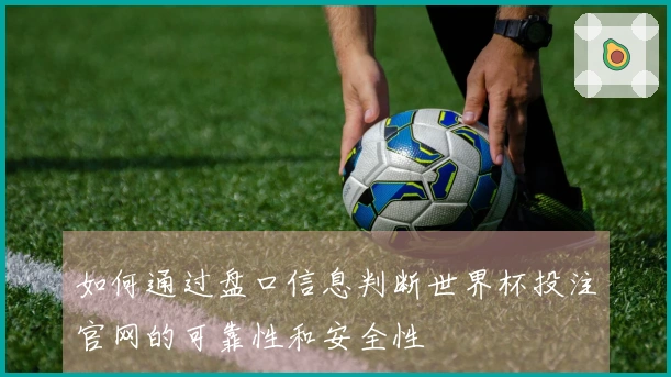 如何通过盘口信息判断世界杯投注官网的可靠性和安全性