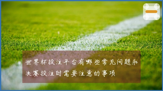 世界杯投注平台有哪些常见问题和决赛投注时需要注意的事项