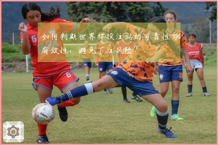 如何判断世界杯投注站的可靠性与有效性，避免下注风险？