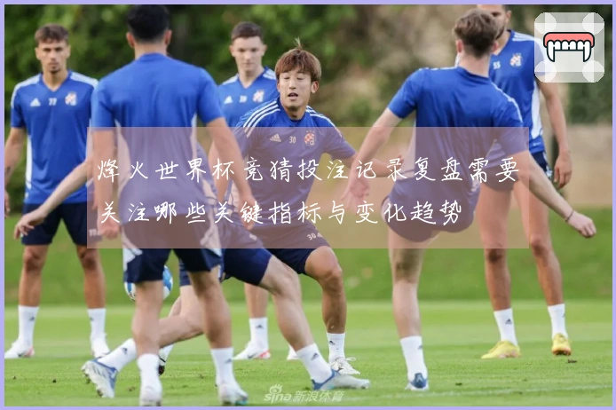 烽火世界杯竞猜投注记录复盘需要关注哪些关键指标与变化趋势